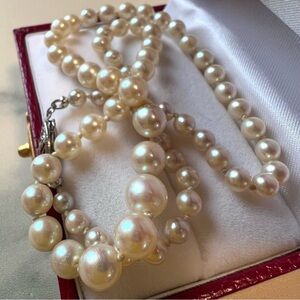 Luxurious 1950s Cultured Pearl Choker-length Necklace w/ 14K Clasp 15.5"
